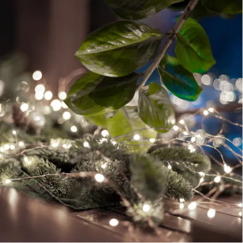 Lampice za jelku sa 50 hladno belih LED dioda ML50/WH