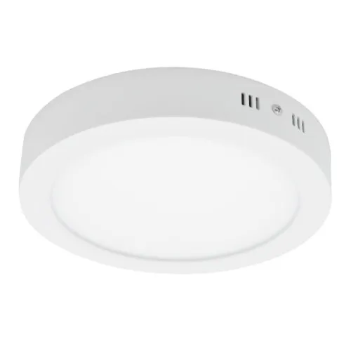 LED plafonjera 24W dnevno svetlo LNP-O24B/W