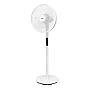 Stojeći ventilator 40cm 60W SFT40R