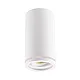 Spot lampa 1xGU10 E201899
