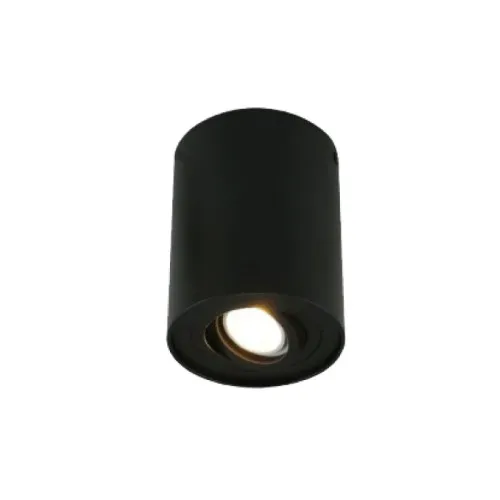 Spot lampa 1xGU10 E200829