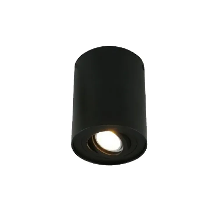 Spot lampa 1xGU10 E200829