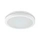 LED plafonjera 15W, promenljiva boja svetla E201821