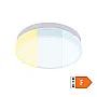 LED plafonjera 24W promenljiva boja svetla LPF-KR/O-24/CCT