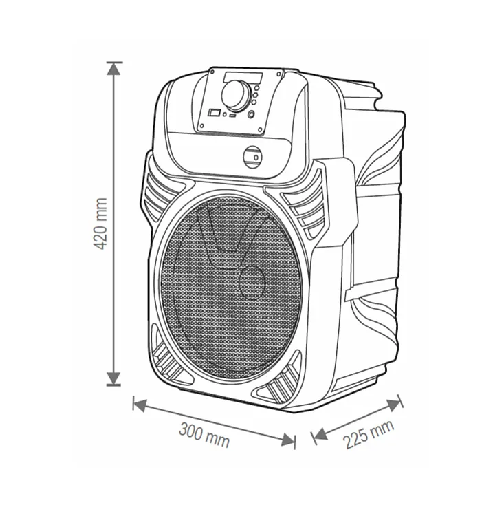 Prenosna zvučna kutija sa Bluetooth konekcijom 25W PAR20BTC