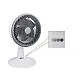 Prosto stoni ventilator 24.5cm DF10A/WH