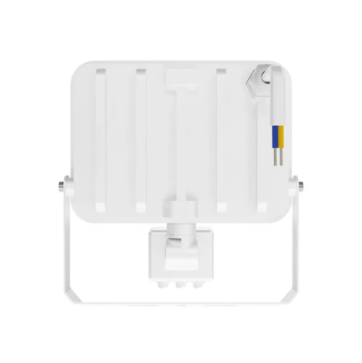 Braytron CCT LED reflektor sa PIR senzorom 30W BT60-63080