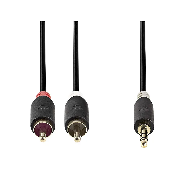Audio kabel 10 m CABW22200AT100