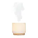 Stona ultrazvučna aroma lampa AD280
