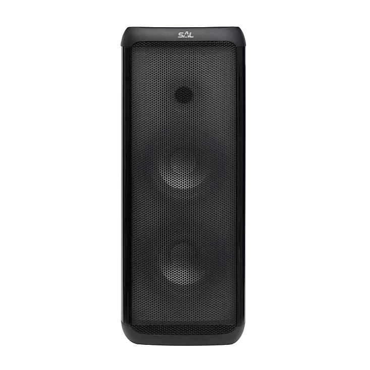 Prenosna zvučna kutija sa BT konekcijom 80W PAR221DJ