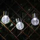 Solarni baštenski lampion ML-DS004