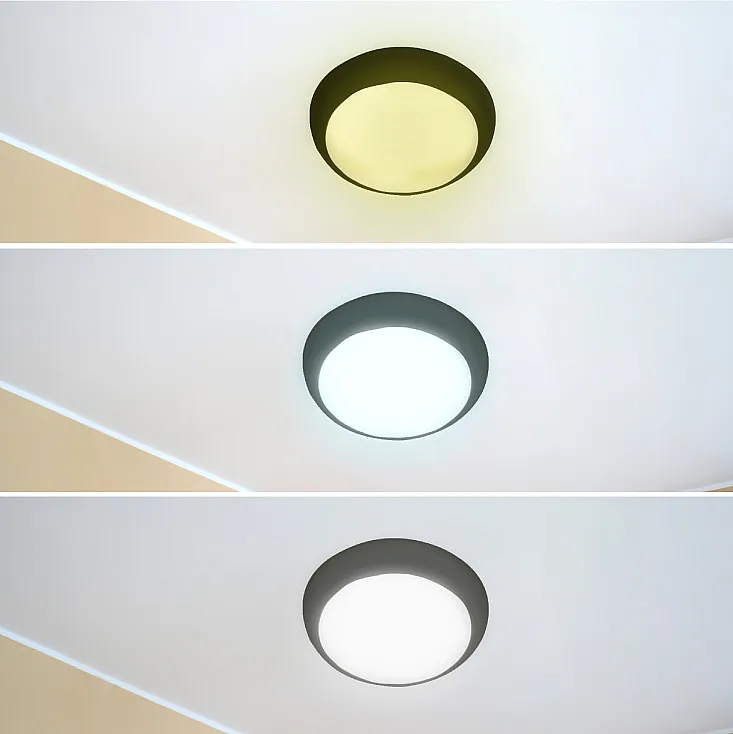 LED plafonjera 16,20,24W, promenljiva boja svetla E202234