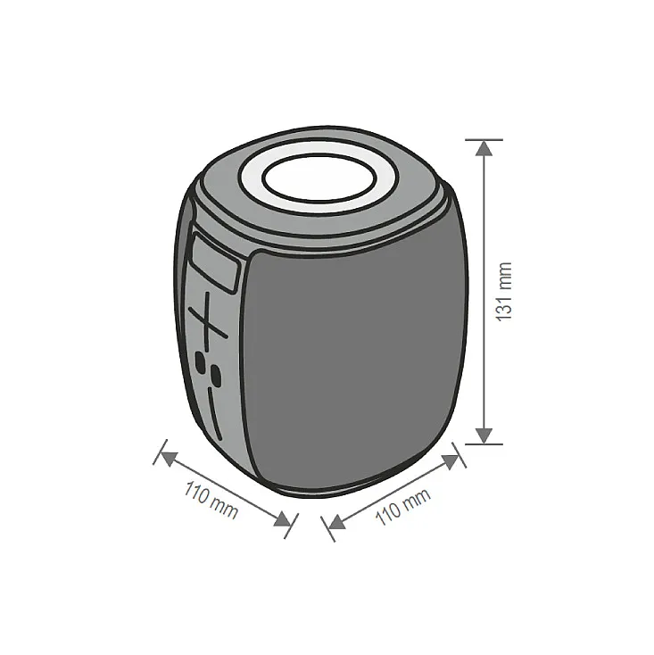 Bluetooth zvučnik 5W BT1000