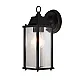 Ledvance zidna lampa - fenjer 1xE27 4058075206649E