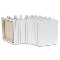 Medijumi za slikanje