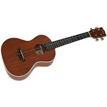 Ukulele