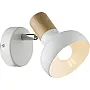 Spot lampa bela 40W 1xE14 M160610