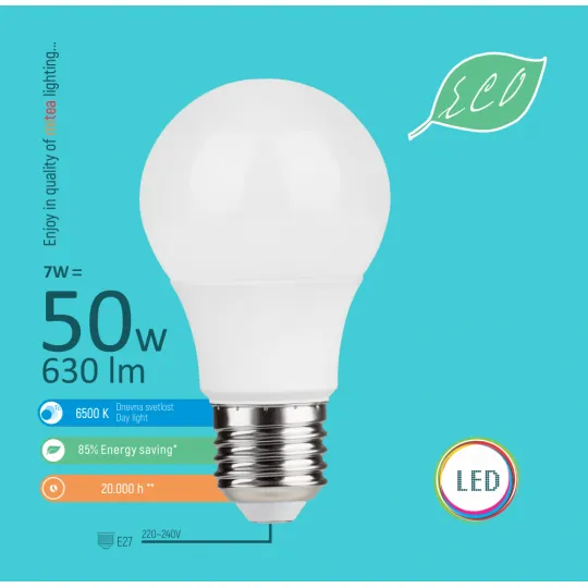 LED ECO sijalica E27 7W A59 6500K 220-240V