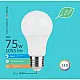 LED ECO sijalica E27 12W A60 6500K 220-240V