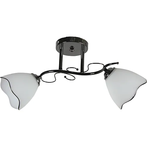 Luster crni Max.60W 220~240V 2xE27 M11000-2