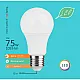 LED ECO sijalica E27 12W A60 3000K 220-240V