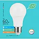 LED ECO sijalica E27 9W A60 4000K 220-240V