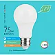 LED ECO sijalica E27 12W A60 4000K 220-240V