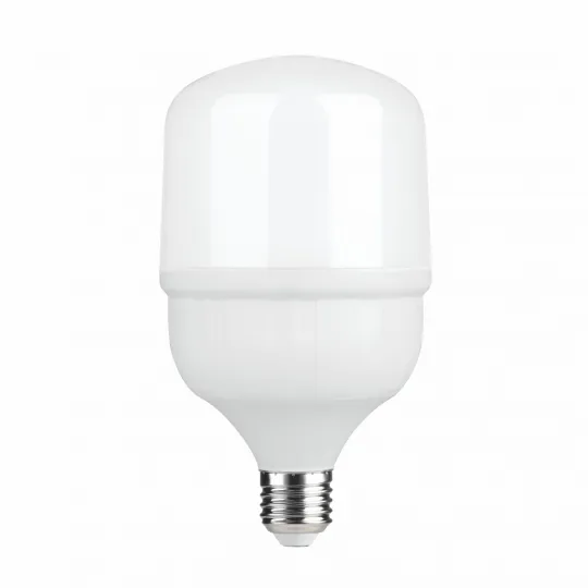 LED ECO sijalica E27 30W T7 6500K 100x171mm 220-240V