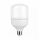 LED ECO sijalica E27 30W T7 6500K 100x171mm 220-240V